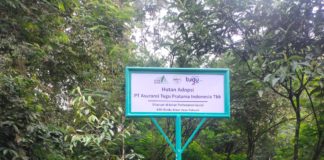 Tugu Insurance Dukung Keuangan Berkelanjutan dengan Program Adopsi Pohon