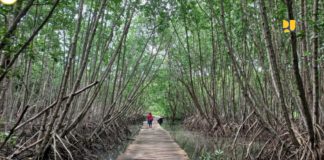 Jelang KTT G20, Kementerian PUPR Kebut Peningkatan Infrastrukur Ramah Lingkungan dan Penghijauan Masif di Bali