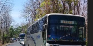 DAMRI Luncurkan Rute Layanan Banyuwangi – Surabaya