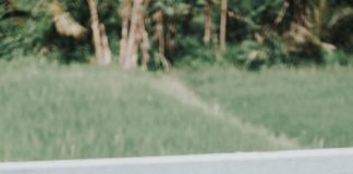 Makuku Raih Penghargaan Top Brand dari Tiktok Indonesia Kategori Produk Ibu dan Anak