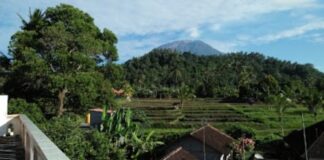 SAREN JAWA, Kampung Islam Yang Bernuansa Bali.