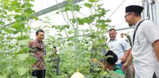 Bersama ALEC, LPDB KUMKM Bangun Closed Loop Economy Pondok Pesantren