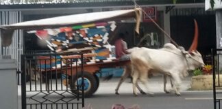 Jogja Cross Culture Kembali Hadir, Sajikan Konsep Budaya Urban Khas Malioboro