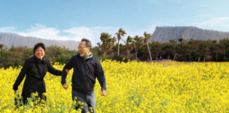 Korea Selatan Kembali Dibuka, Golden Rama Tours and Travel Kemas Pengalaman K-Tourism Bidik Segmen Muda dan Keluarga