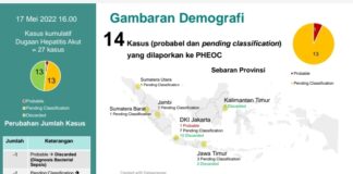 Dugaan Hepatitis Akut Total Jadi 14 Kasus