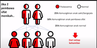 Cegah Lahirnya Bayi Talasemia melalui Pemeriksaan Kesehatan Pranikah