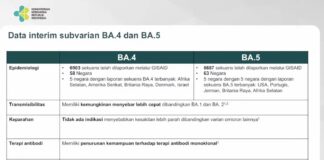 Subvarian Baru Omicron Terdeteksi di Indonesia, Kemenkes: Tingkat Kesakitan Rendah