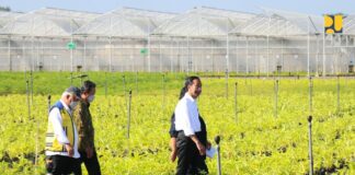 KemenPUPR: Presiden Jokowi Resmikan Pusat Persemaian Modern Rumpin di Bogor