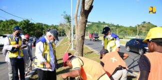 Menteri PUPR: Optimalkan Penghijauan di Kawasan Sirkuit Mandalika