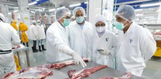 BULOG Cek Langsung ke India, Pastikan Daging Kerbau Bebas PMK