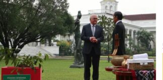 Frank-Walter Steinmeier Kunjungi Joko Widodo Frank-Walter Steinmeier Kunjungi Joko Widodo