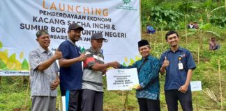 Penanaman Kacang Sacha Inchi Solusi Pemberdayaan Tanah Wakaf