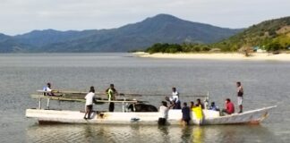 Tempuh Jalur Laut, Lazismu Distribusikan Hewan Kurban di Kabupaten Sikka