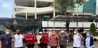 Implementasikan AKHLAK, JamSyar Salurkan 24 Ekor Sapi Kurban bagi Masyarakat Sekitar