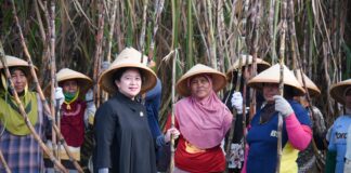 DPR Dukung PG Sindanglaut Kembali Dibuka Demi Kemandirian Gula