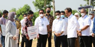 Perkuat Transformasi Agrikultur dan Food Estate, BNI Dukung Program Taksi Alsintan