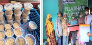 Pemafaatan Lahan Pekarangan dan Sampah Organik untuk Budidaya Maggot