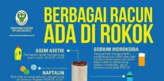 Bahaya Merokok, Berpengaruh Terhadap Prevalensi Stunting di Indonesia