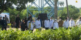 Presiden Jokowi Tinjau Embung Sukodono dan Food Estate Mangga di Gresik