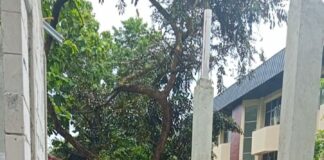 Unkris Kini Miliki Gedung Peradilan Semu, untuk Dukung Praktik Mahasiswa Hukum