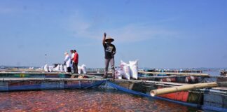 Boyolayar Destinasi Wisata Baru Sragen di Tepi Waduk Kedung Ombo Keramba