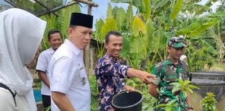 Pemkab OKU Kembangkan Budidaya Ikan Gabus Pemkab OKU Kembangkan Budidaya Ikan Gabus