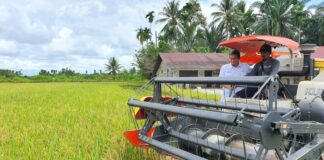 BULOG Menunggu Regulasi Turunan dari Perpres 125 Penyelenggaraan Cadangan Pangan