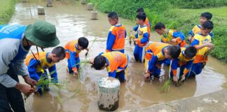 Perkuat Profil Pelajar Pancasila SD Muhammadiyah PK Kottabarat Adakan Field Trip