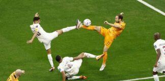 Belanda Meraih Puncak Grup A Piala Dunia Qatar Belanda Meraih Puncak Grup A Piala Dunia Qatar