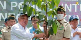 Menteri Basuki Apresiasi Penyerahan Bibit Tanaman untuk IKN dari Purnawirawan TNI AD