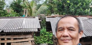 Domba Simadu Domba Simadu