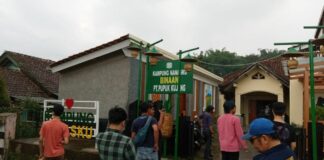 Nanas Segar Untuk Pengungsi Cianjur Nanas Segar Untuk Pengungsi Cianjur