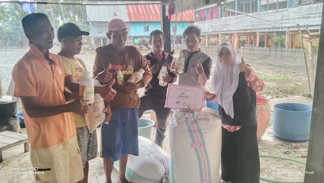 Selama dua bulan terakhir, para petani padi di Kabupaten Wajo, Sulawesi Selatan, mulai bisa tersenyum, Kamis (26/1/2023). Mereka mendapat bantuan dari PT Pegadaian Pusat, melalui kerjasama dengan koperasi Matahari Tani Bangkit, untuk penanaman padi