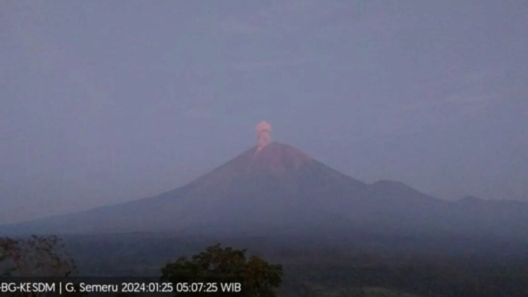 Gunung Semeru erupsi yang terpantau dari Pos Pengamatan Gunung Semeru di Gunung Sawur, Kabupaten Lumajang pada Kamis (25/1/2024) pukul 05.06 WIB. (ANTARA/HO-PVMBG