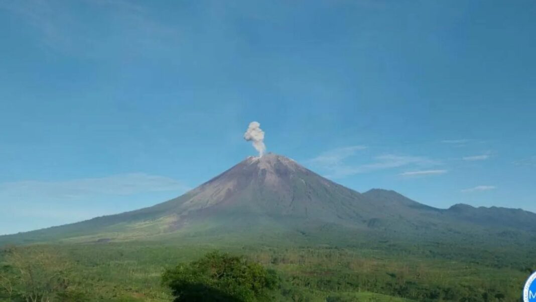 Gunung Semeru erupsi yang terpantau dari pos pengamatan gunung api di Gunung Sawur, Kabupaten Lumajang, Jawa Timur, Senin (12/2/2024). (ANTARA/HO-PVMBG)