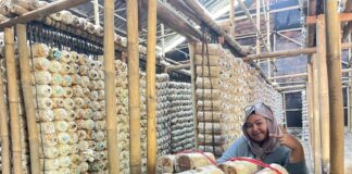 SmartMush, Solusi Cerdas Mahasiswa UMS untuk Budidaya Jamur Modern