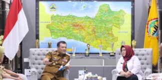 Gerilya Emak Eka Sosialisasikan 5 Program Quick Wins Kemendukbangga/BKKBN di 35 Kota Jawa Tengah