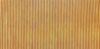 Musik Kekinian My UMS Band Reborn Meriahkan Masta dan Ekspo UKM 2025