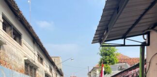 Meriah, TK Aisyiyah Gajahan Gelar Jalan Sehat Sambut HUT ke-80 RI