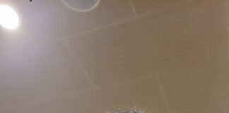 Korupsi dan Jerat Ekosistem Kepemimpinan: Refleksi untuk Keluar dari Jebakan