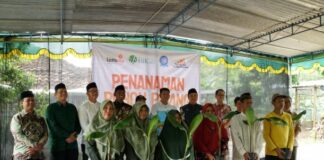 Sinergi Dakwah dan Kemandirian: LAZISMU DIY Tanam 1000 Bibit Pisang Bersama Masyarakat Nanggulan