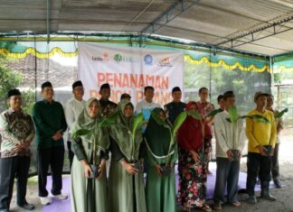 Sinergi Dakwah dan Kemandirian: LAZISMU DIY Tanam 1000 Bibit Pisang Bersama Masyarakat Nanggulan