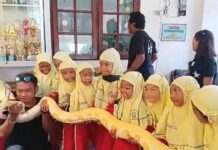 Edukasi Binatang Tanamkan Cinta Alam Siswa SD Muh 24 Gajahan