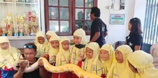 Edukasi Binatang Tanamkan Cinta Alam Siswa SD Muh 24 Gajahan