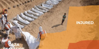 Berapa kali Israel melanggar gencatan senjata di Gaza? Berapa kali Israel melanggar gencatan senjata di Gaza?