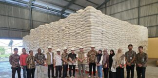BULOG Aceh Pastikan Stok Pangan Aman Jelang Tradisi Megang Sambut Ramadhan dan Idul Fitri