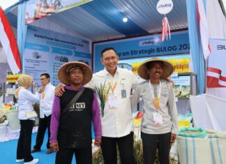 BULOG Kawal Keberhasilan Swasembada Pangan dan Pecahkan Rekor Penyerapan Gabah