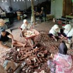 KKNT 38 UNIDA Gontor Bantu Pemberdayaan Warga Angkat Potensi Usaha Local Keripik Singkong Ababil Kradegan Ngawi