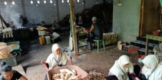 KKNT 38 UNIDA Gontor Bantu Pemberdayaan Warga Angkat Potensi Usaha Local Keripik Singkong Ababil Kradegan Ngawi