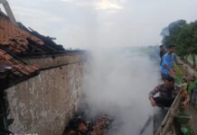 Gudang SMP Negeri 1 Kertasemaya Terbakar, Respons Cepat Warga dan Polisi Cegah Api Meluas